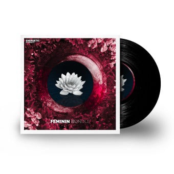  Feminine subliminal Bundle